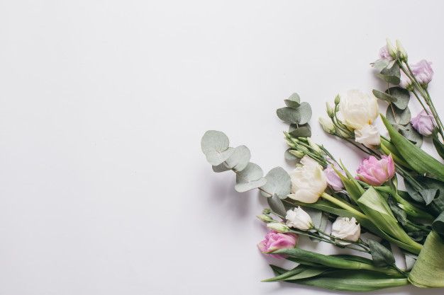 Zarif ve Etkileyici Çiçek Sunumları